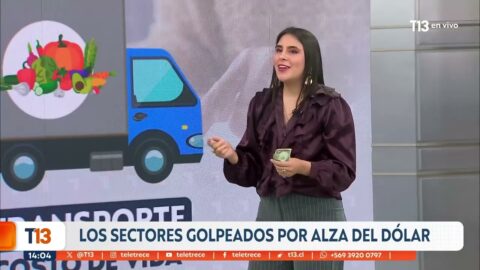 Alza del dólar: los sectores más afectados