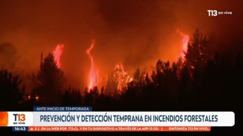 Anuncian plan contra incendios forestales con Conaf