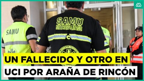 Araña de rincón deja un fallecido y un joven en UCI en Coquimbo