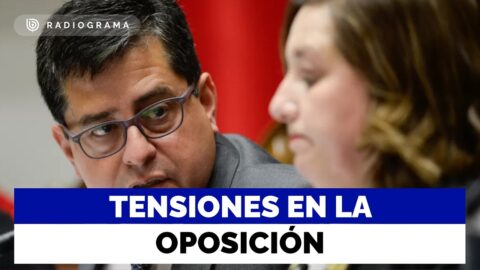 Araya critica su salida de la Comisión de Constitución
