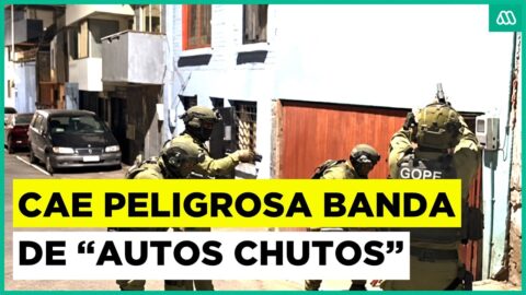 Banda robaba autos en Iquique y los vendía en Bolivia desde cárceles