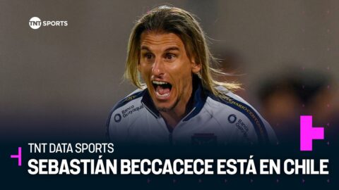 Beccacece analiza el presente de La Roja y el caso Pellegrini