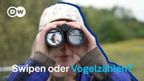 Birdwatching se vuelve tendencia entre la Generación Z