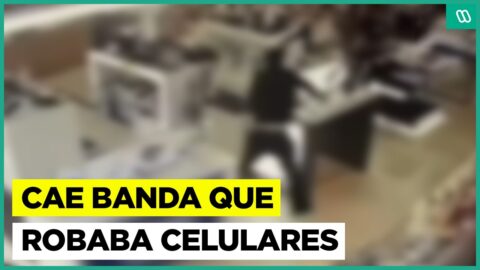 Cae banda dedicada al robo de celulares exhibidos en redes