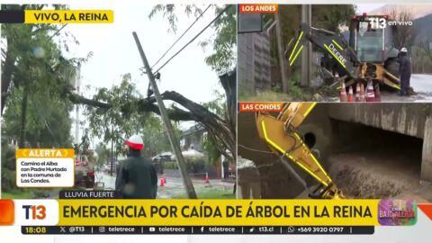 Caída de árbol genera emergencia en La Reina