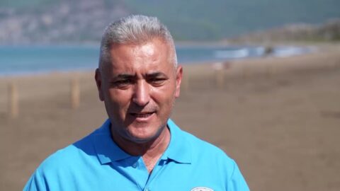 Calor en las playas de Turquía amenaza a las tortugas boba