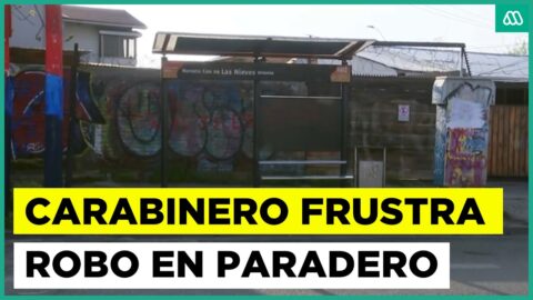 Carabinero de franco frustra asalto y hiere a un delincuente