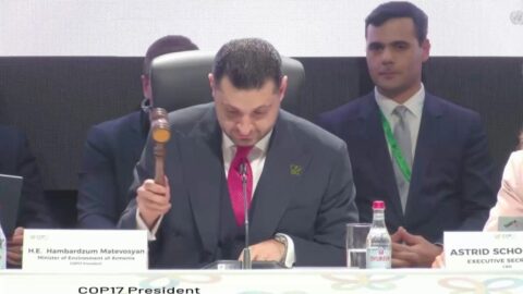 Casi 200 países aprueban acuerdos de biodiversidad en la COP17
