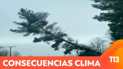 Casi 250 mil personas afectadas por clima extremo en Chile
