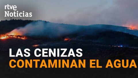 Cenizas de los incendios contaminan el agua meses después