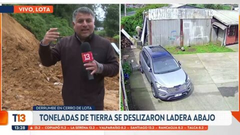 Cerro se derrumba en Lota y un perro reacciona minutos antes