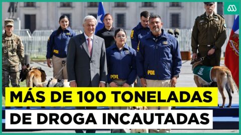 Chile reporta récord histórico de incautaciones de droga