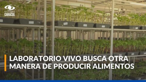 CIAT en Palmira investiga producción sostenible de alimentos
