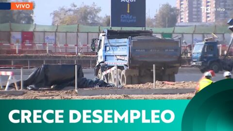 Cifra de cesantes con título superior supera las 350 mil