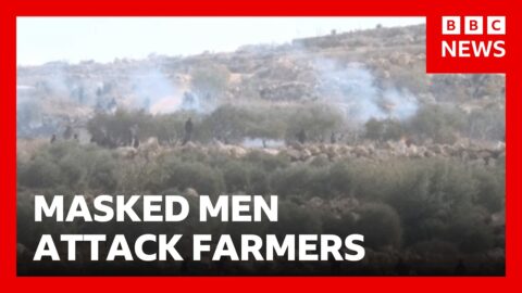 Colonos israelíes atacan a agricultores palestinos en Cisjordania