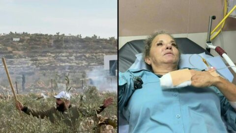 Colonos israelíes golpean a una fotoperiodista estadounidense
