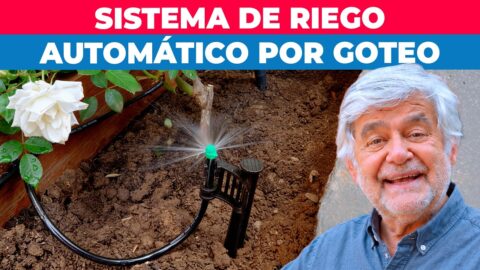 Cómo armar un riego automático por goteo en casa
