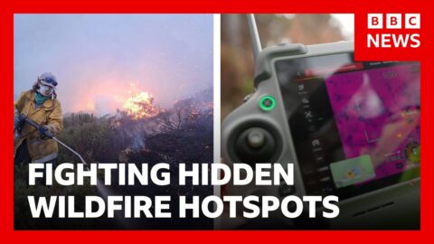 Cómo la tecnología detecta incendios ocultos bajo el bosque