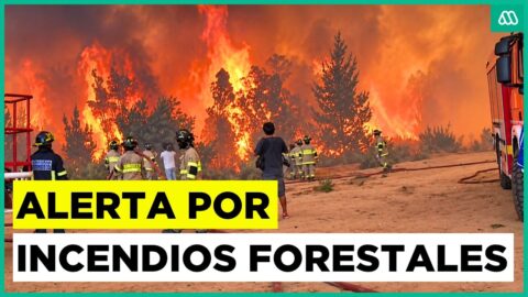 CONAF alerta por alto riesgo de incendios forestales este verano