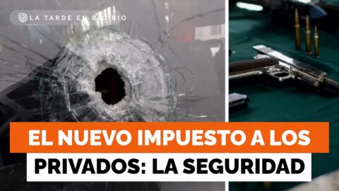 Delincuencia costó US$10.500 millones a Chile, según Clapes UC
