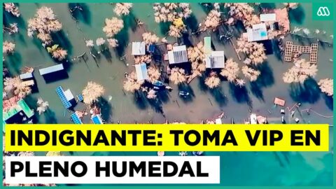 Denuncian construcciones ilegales en humedal de Pucón
