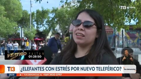 Denuncian que teleférico estresaría a elefantes del Metropolitano