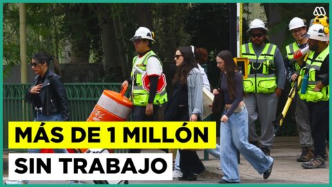 Desempleo en Chile llega a 9,8% según el INE, analiza economista