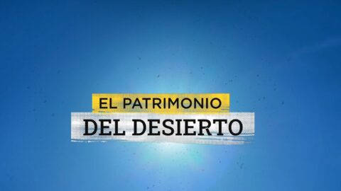 Desierto de Atacama vive su floración más intensa en 30 años
