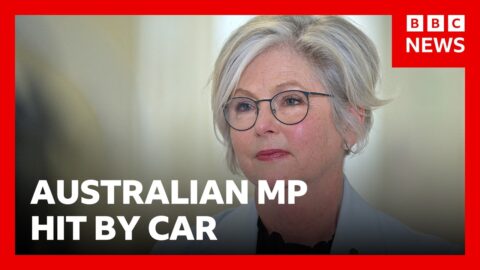 Diputada australiana Helen Haines herida grave tras ser atropellada
