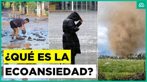 Ecoansiedad: cómo enfrentar el impacto de los eventos extremos
