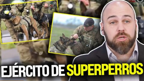 EE.UU. desarrolla perros de guerra clonados y con IA