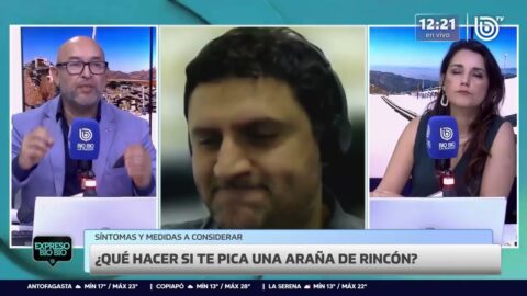 El Niño y su posible efecto en el aumento de plagas de insectos