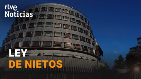 El TC inadmite el recurso del Defensor del Pueblo sobre voto de nietos