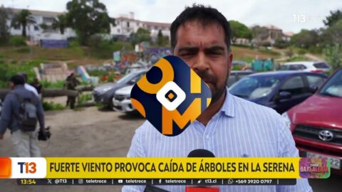 Equipos de emergencia atienden árboles caídos en La Serena