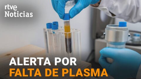 España importa plasma a precios altos por falta de donantes