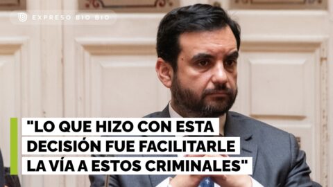 Exministro Gajardo critica rebajas de condena por delitos sexuales