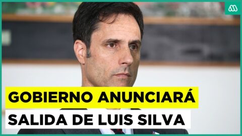 Gobierno anunciará salida del subsecretario Luis Silva