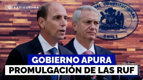 Gobierno pide al TC declarar inadmisible requerimiento de la oposición sobre las RUF