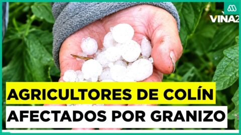 Granizo destruye invernaderos en Colín, Maule