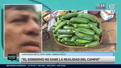 Granizos dañan la agricultura y cuestionan a las autoridades