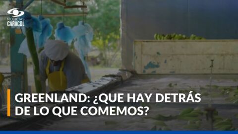 GreenLand, iniciativa productiva con huella ambiental premiada por Caracol