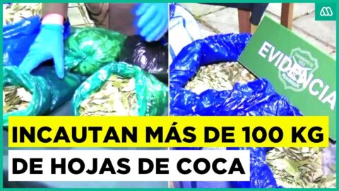 Incautan más de 100 kilos de hojas de coca y detienen a seis bolivianos