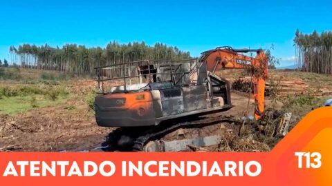 Incendio intencional afecta faena forestal de CMPC en Angol
