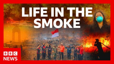 Incendios en Indonesia: humo tóxico y protestas por emergencia nacional