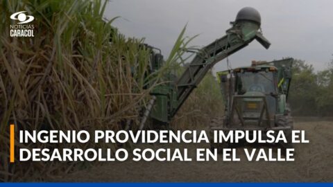 Ingenio Providencia busca transformar la caña de azúcar en el Valle del Cauca