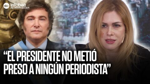 Lemoine afirma que hubo planes sistemáticos contra Milei