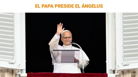 León XIV reaparece en su primer acto público tras la cirugía