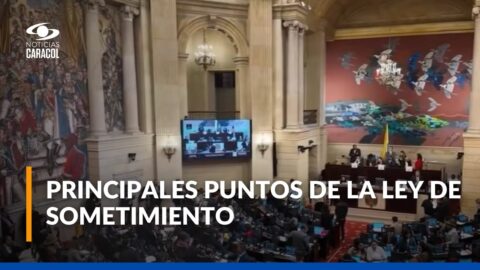Ley de sometimiento: debate en el Congreso por 29.000 alzados