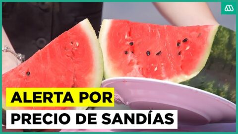 Lluvias fuera de temporada dañan cultivos y anticipan alza en precio de sandías