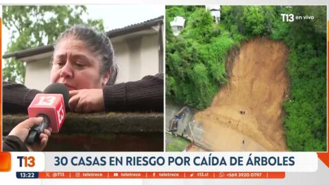 Lluvias y viento causan caída de cinco árboles